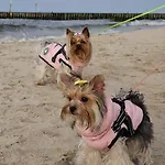 Przy Plazy Lägenhet *