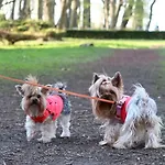 Lägenhet Przy Plazy