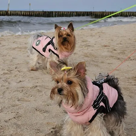 Przy Plazy Appartamento *