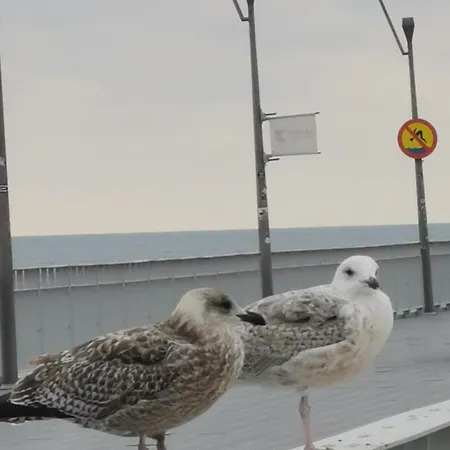 Przy Plaży Kołobrzeg