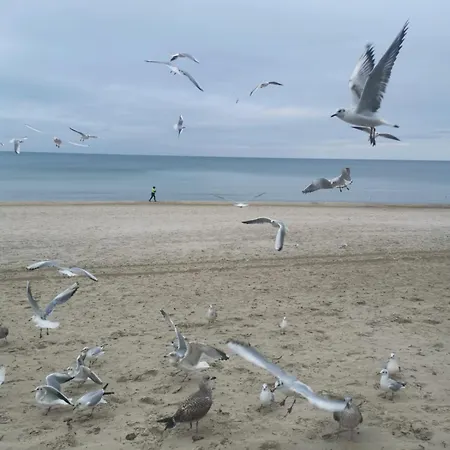 Przy Plazy Apartment *