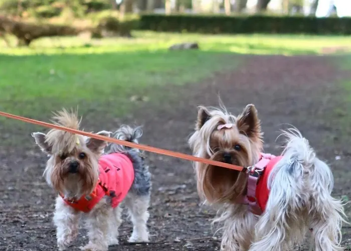 Apartment Przy Plazy